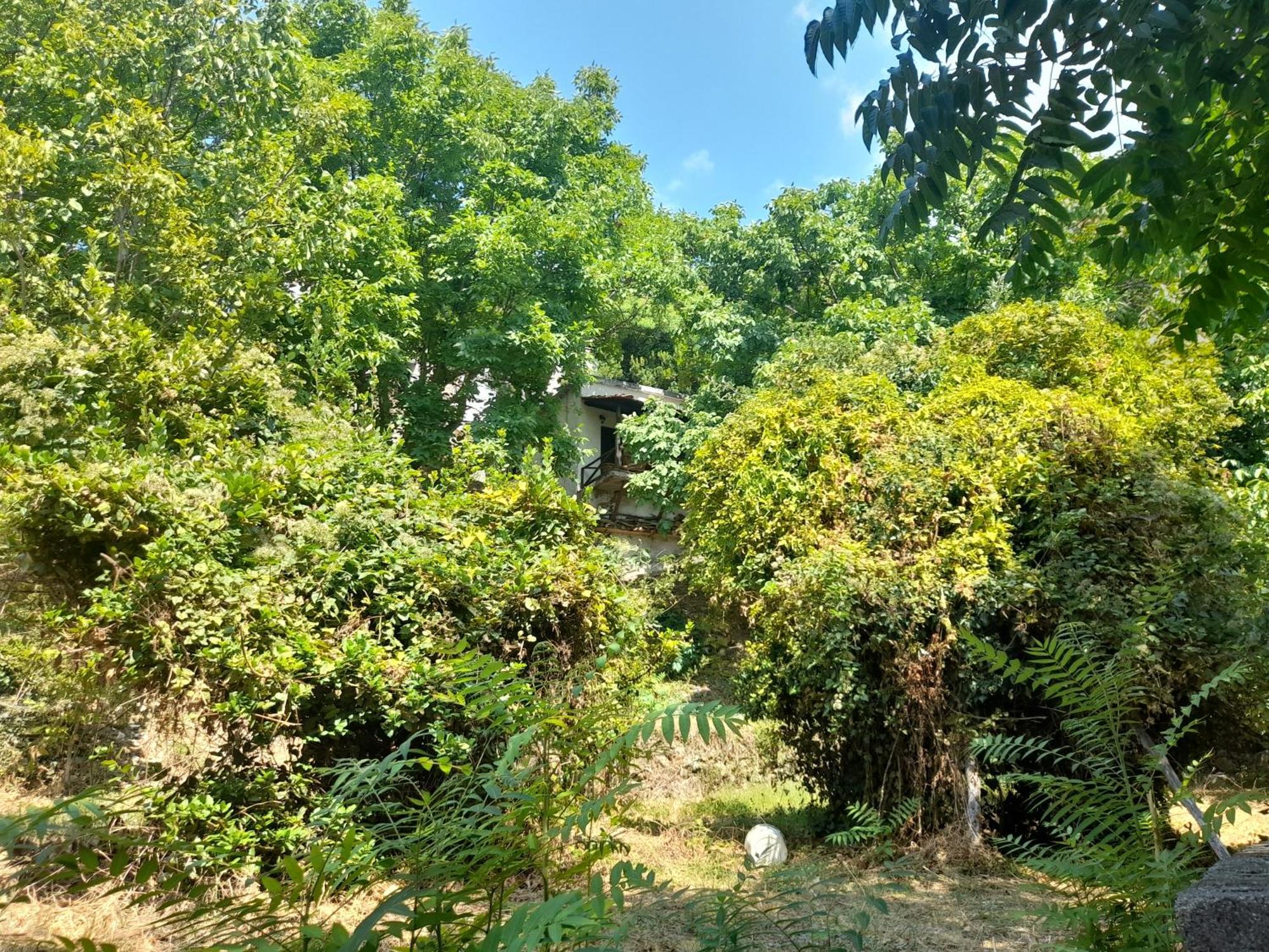 Mountain And Sea View Villa มิลี ภายนอก รูปภาพ