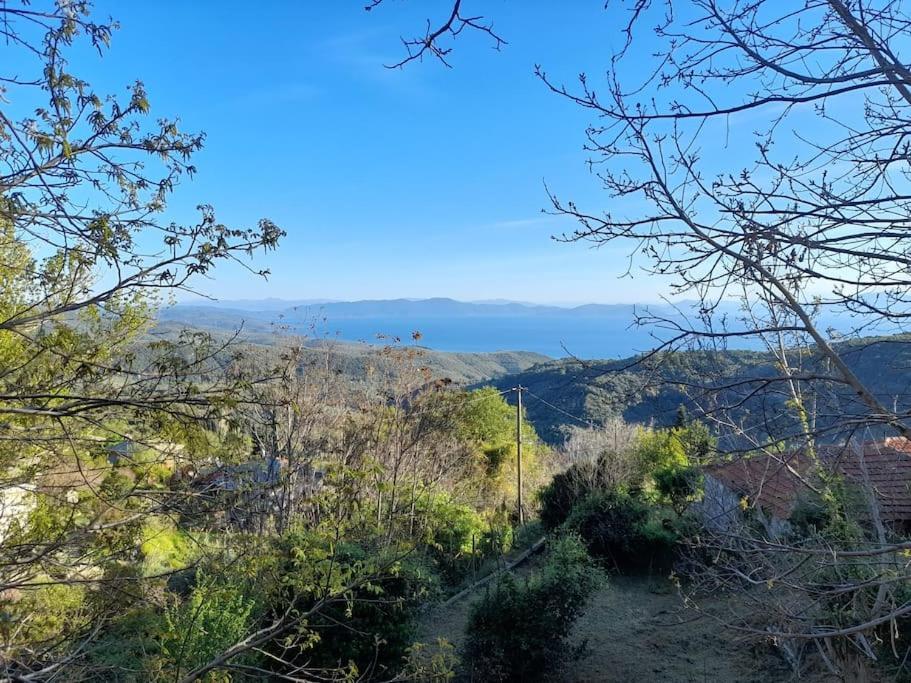 Mountain And Sea View Villa มิลี ภายนอก รูปภาพ